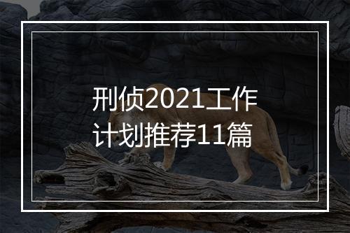 刑侦2021工作计划推荐11篇