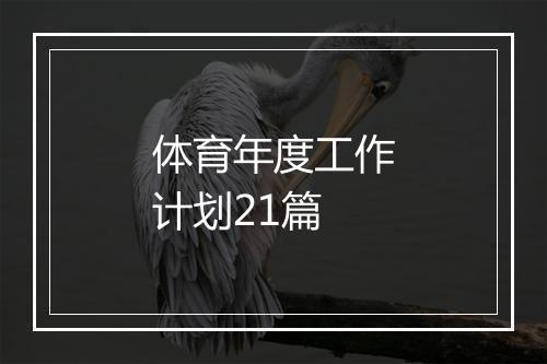 体育年度工作计划21篇