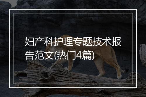 妇产科护理专题技术报告范文(热门4篇)