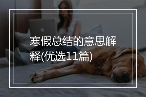 寒假总结的意思解释(优选11篇)