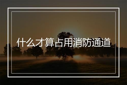 什么才算占用消防通道