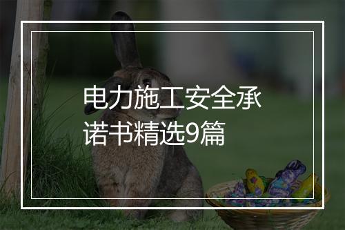 电力施工安全承诺书精选9篇