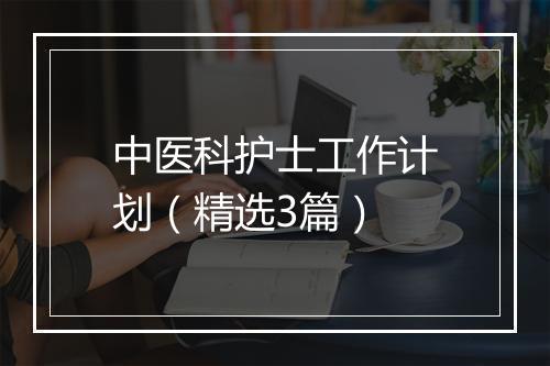 中医科护士工作计划（精选3篇）