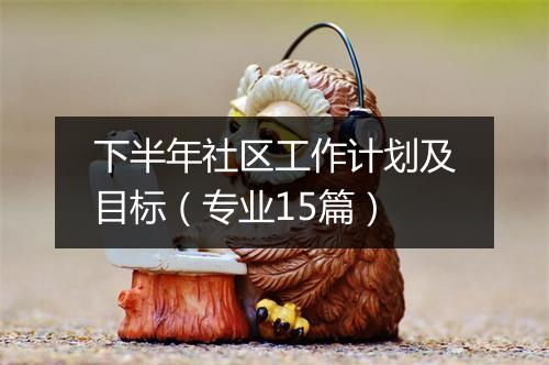 下半年社区工作计划及目标（专业15篇）