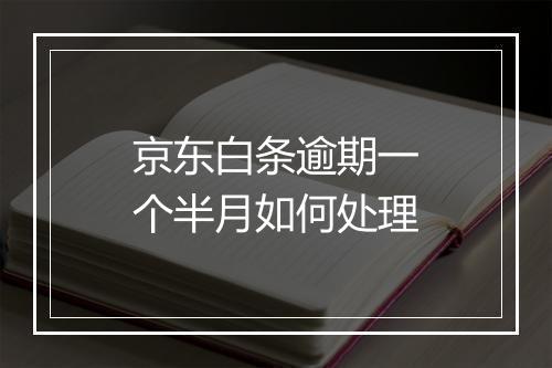 京东白条逾期一个半月如何处理