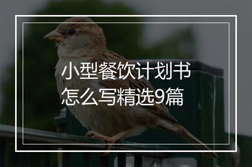 小型餐饮计划书怎么写精选9篇