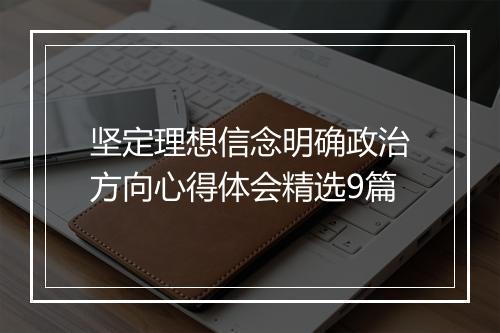 坚定理想信念明确政治方向心得体会精选9篇