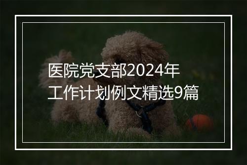 医院党支部2024年工作计划例文精选9篇