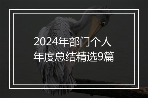 2024年部门个人年度总结精选9篇