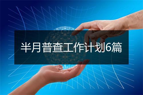 半月普查工作计划6篇