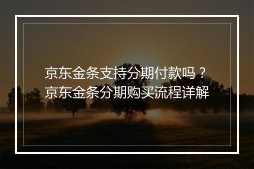 京东金条支持分期付款吗？京东金条分期购买流程详解