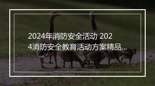2024年消防安全活动 2024消防安全教育活动方案精品5篇