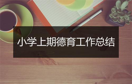 小学上期德育工作总结