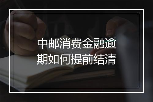 中邮消费金融逾期如何提前结清