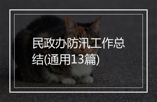 民政办防汛工作总结(通用13篇)