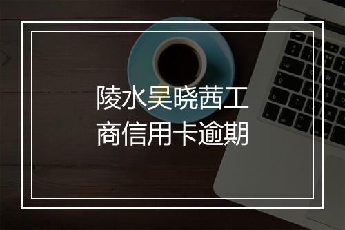 陵水吴晓茜工商信用卡逾期