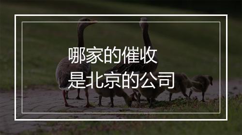 哪家的催收 是北京的公司