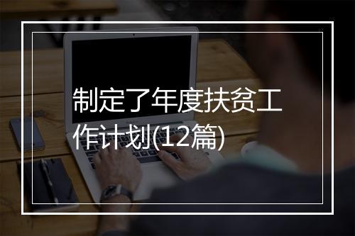 制定了年度扶贫工作计划(12篇)