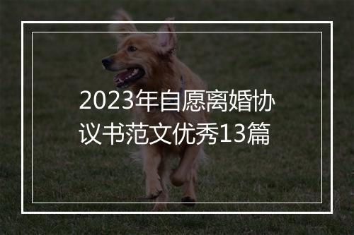 2023年自愿离婚协议书范文优秀13篇