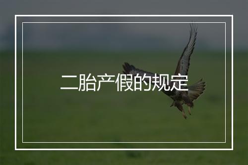 二胎产假的规定