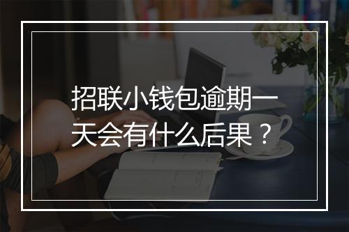 招联小钱包逾期一天会有什么后果？