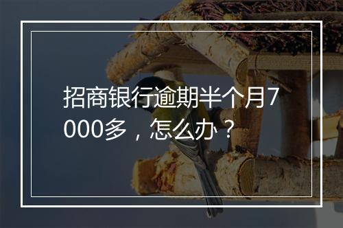 招商银行逾期半个月7000多，怎么办？
