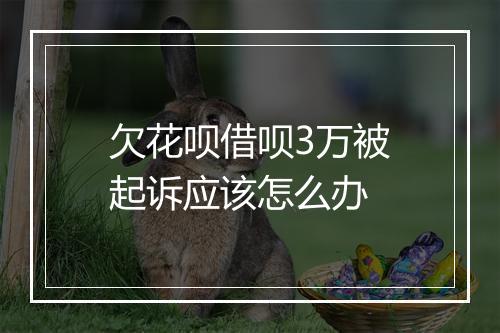 欠花呗借呗3万被起诉应该怎么办