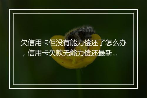 欠信用卡但没有能力偿还了怎么办，信用卡欠款无能力偿还最新政策