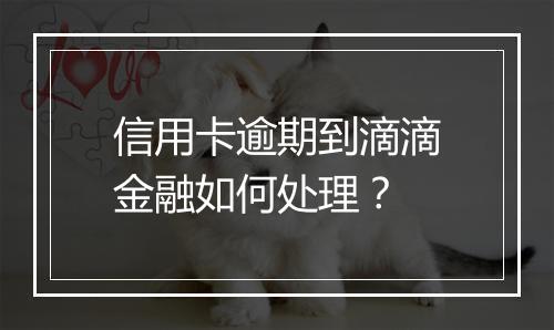 信用卡逾期到滴滴金融如何处理？