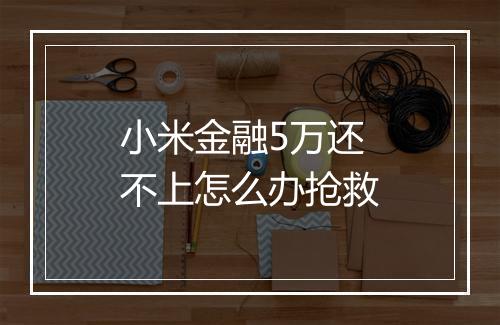 小米金融5万还不上怎么办抢救
