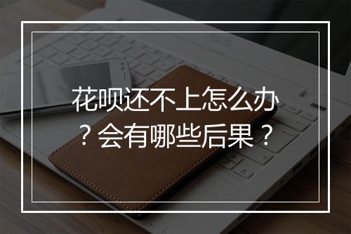 花呗还不上怎么办？会有哪些后果？