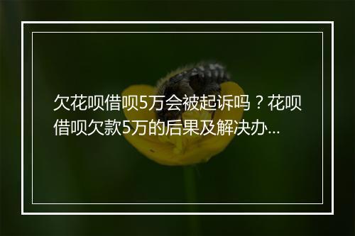 欠花呗借呗5万会被起诉吗？花呗借呗欠款5万的后果及解决办法