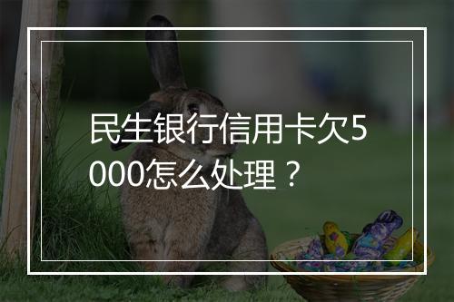 民生银行信用卡欠5000怎么处理？