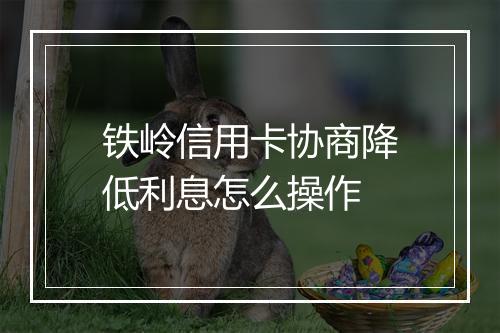 铁岭信用卡协商降低利息怎么操作