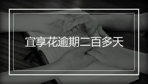 宜享花逾期二百多天