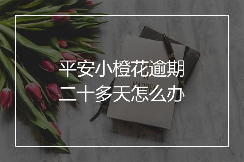 平安小橙花逾期二十多天怎么办