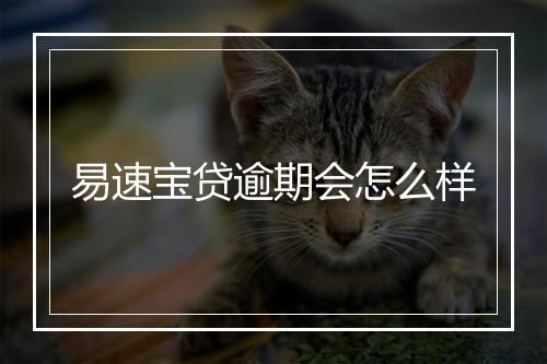 易速宝贷逾期会怎么样