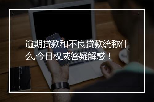 逾期贷款和不良贷款统称什么,今日权威答疑解惑！