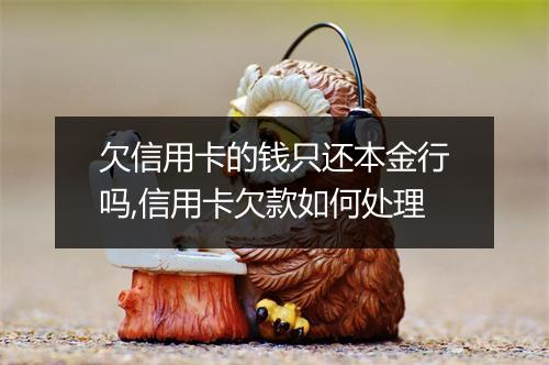 欠信用卡的钱只还本金行吗,信用卡欠款如何处理