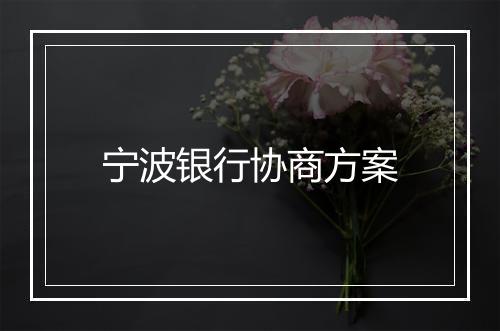 宁波银行协商方案