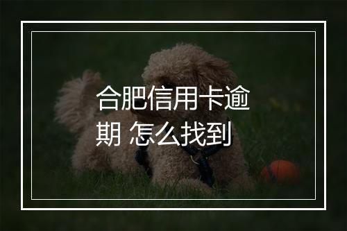 合肥信用卡逾期 怎么找到