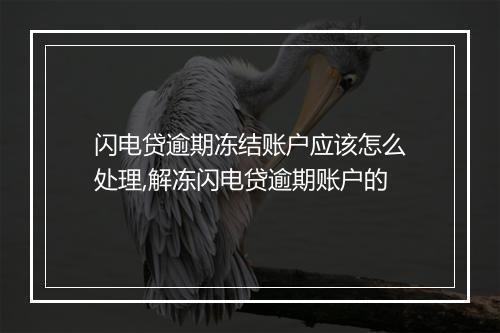 闪电贷逾期冻结账户应该怎么处理,解冻闪电贷逾期账户的