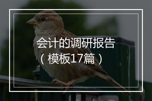 会计的调研报告（模板17篇）
