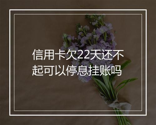 信用卡欠22天还不起可以停息挂账吗