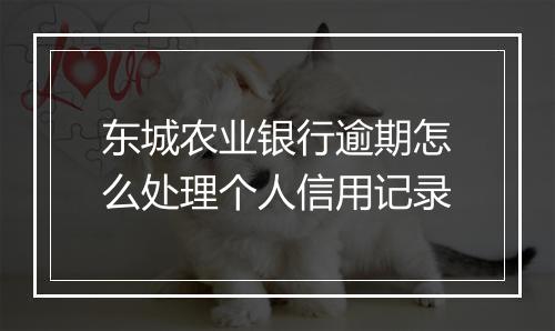东城农业银行逾期怎么处理个人信用记录
