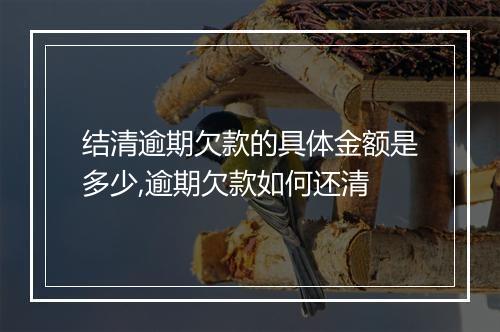 结清逾期欠款的具体金额是多少,逾期欠款如何还清