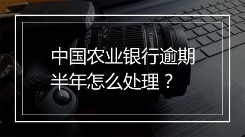 中国农业银行逾期半年怎么处理？