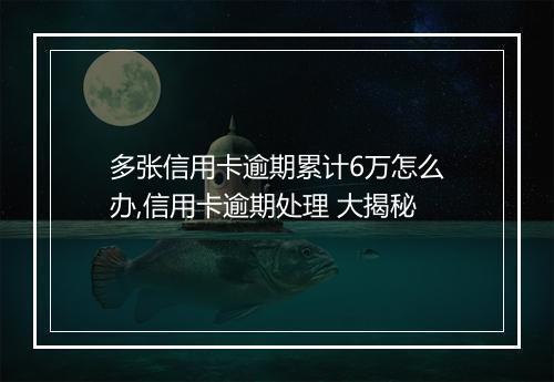 多张信用卡逾期累计6万怎么办,信用卡逾期处理 大揭秘