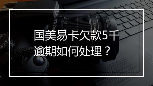 国美易卡欠款5千逾期如何处理？