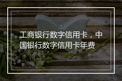 工商银行数字信用卡，中国银行数字信用卡年费